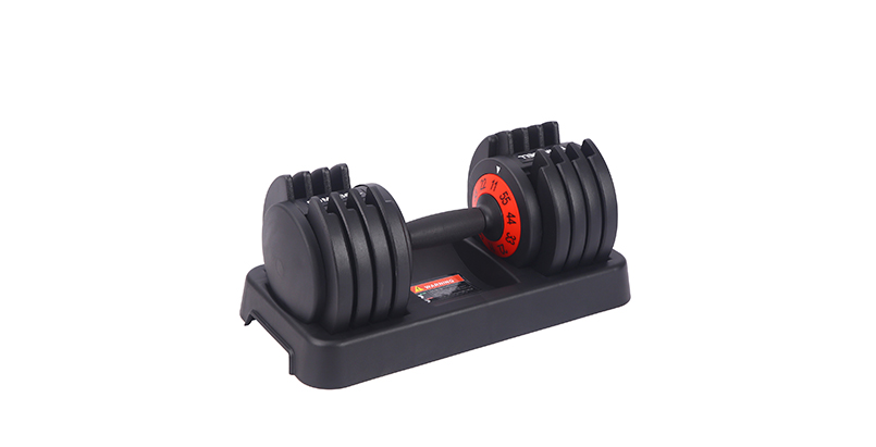 55lb dumbbell
